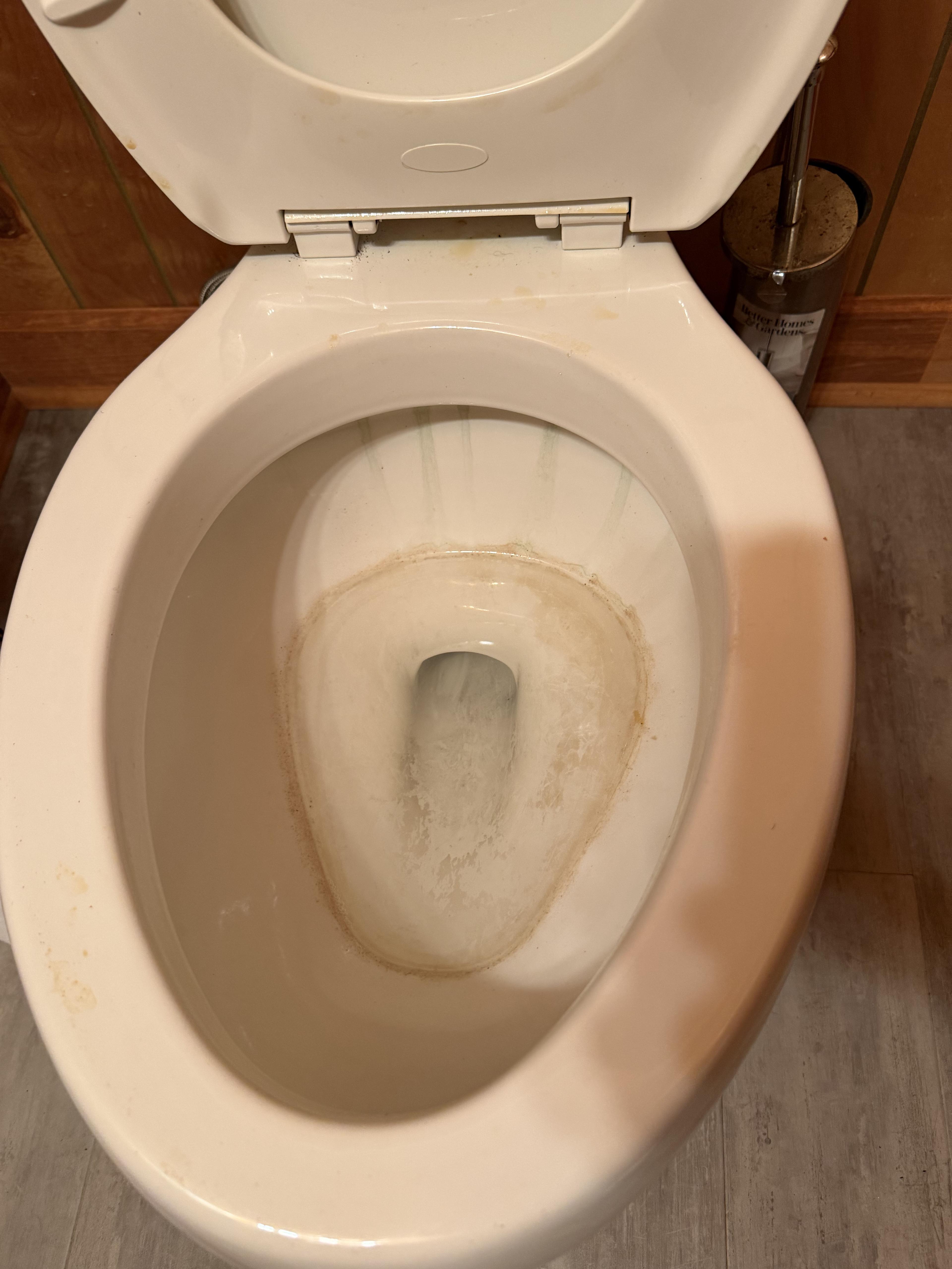 A white toilet bowl with visible brown mineral deposits and green streaks, showing a fixture in need of deep cleaning.